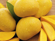 Sức khỏe - Ăn xoài có tác dụng gì đối với sức khỏe và chữa bệnh