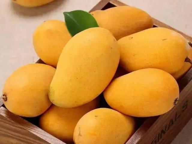 Đi mua xoài chín, thấy 3 dấu hiệu này tốt nhất nên tránh xa kẻo phí tiền