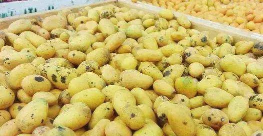 Đi mua xoài chín, thấy 3 dấu hiệu này tốt nhất nên tránh xa kẻo phí tiền - 2