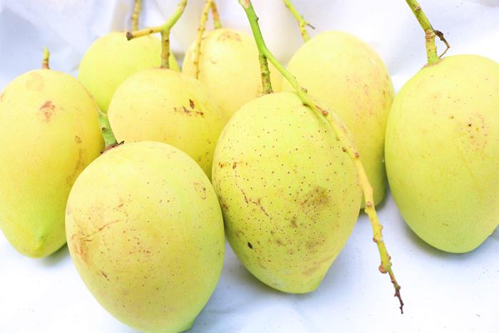 Đi mua xoài chín, thấy 3 dấu hiệu này tốt nhất nên tránh xa kẻo phí tiền - 1