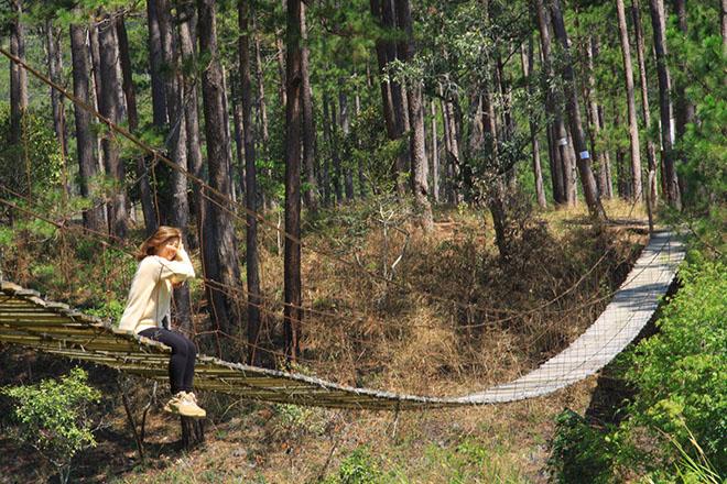 Khám phá cầu gỗ treo đẹp như phim ở Đà Lạt ai có amp;#34;ganamp;#34; mới dám thử - 2