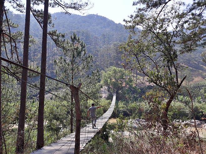 Khám phá cầu gỗ treo đẹp như phim ở Đà Lạt ai có amp;#34;ganamp;#34; mới dám thử - 4