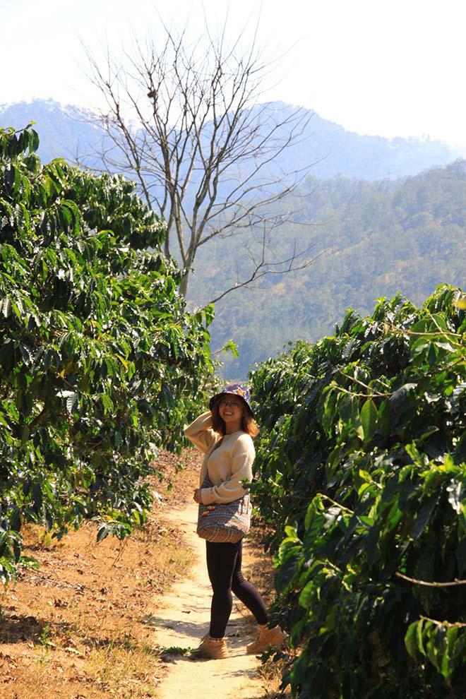 Khám phá cầu gỗ treo đẹp như phim ở Đà Lạt ai có amp;#34;ganamp;#34; mới dám thử - 5