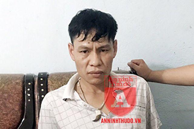 Vụ hiếp, giết nữ sinh giao gà: Lạnh người giả thiết động cơ gây án - 3