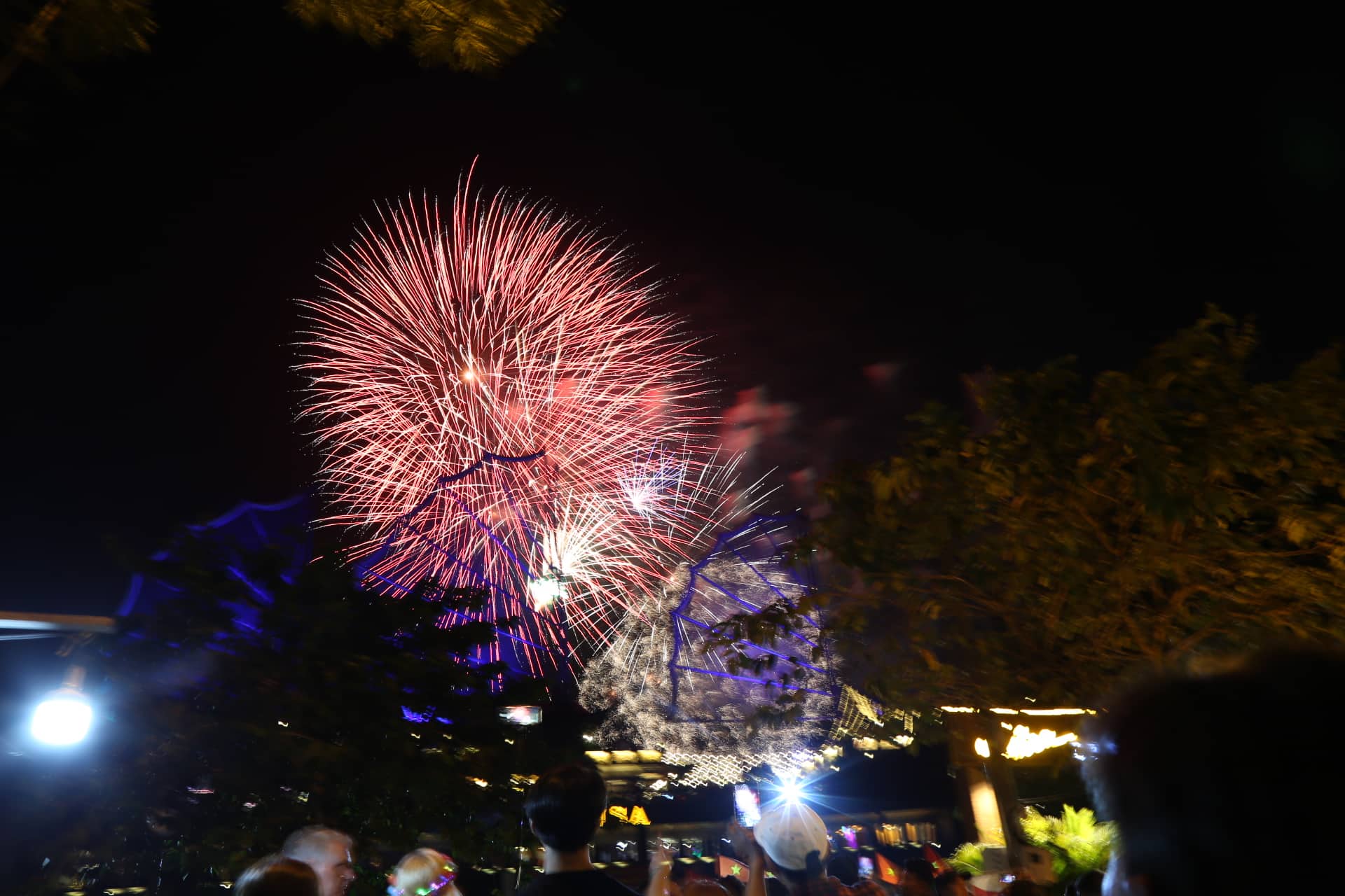 Pháo hoa rực rỡ chào năm mới 2020: Khởi đầu một thập kỷ mới - 13