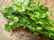 Sức khỏe - Rau mùi dễ ăn nhưng chớ dại kết hợp với 3 món này kẻo có ngày nhập viện khẩn cấp