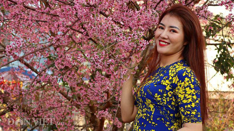 Tết Dương lịch, du khách kéo lên Đà Lạt ngắm mai anh đào rực nở - 8