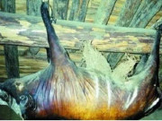 Tiêu dùng - Kỳ lạ lợn treo hơn 30 năm bốc mùi thối vẫn có người trả 1,7 tỷ đồng mua về ăn