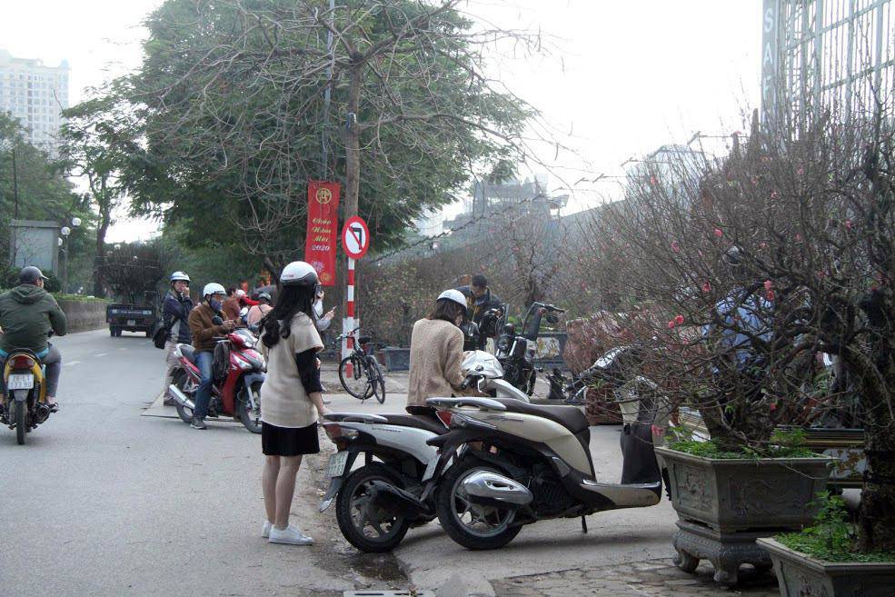 Đào rừng cổ giá cả triệu đồng rộn ràng khắp phố Hà Nội phục vụ Tết Nguyên đán - 2