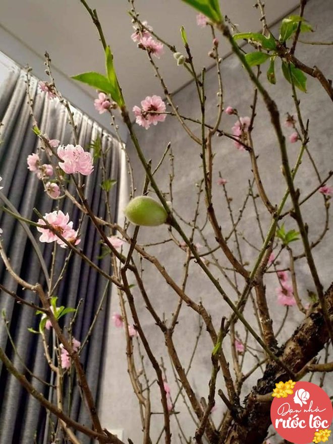 Mẹ Hà Nội dọn nhà đón Tết tinh tươm, ai nhìn cũng rộn ràng chờ năm mới - 14
