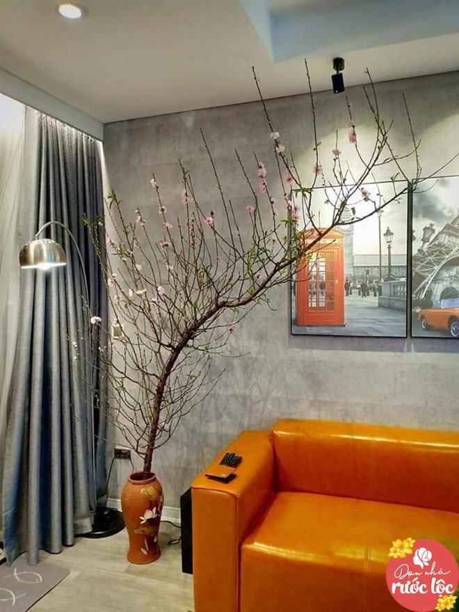 Mẹ Hà Nội dọn nhà đón Tết tinh tươm, ai nhìn cũng rộn ràng chờ năm mới - 12