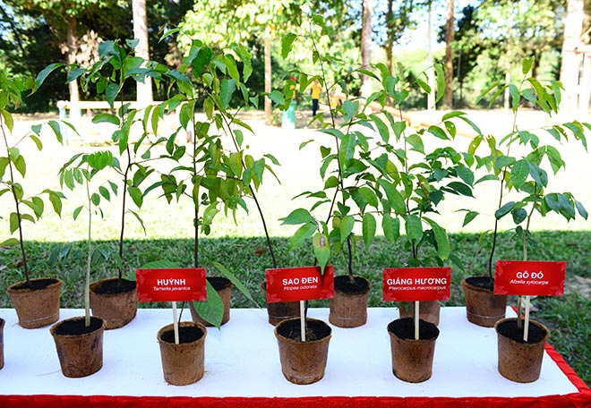 Những con số ngỡ ngàng ở chương trình Gieo lộc Tết xanh của OMO cùng dàn nghệ sỹ Việt - 2