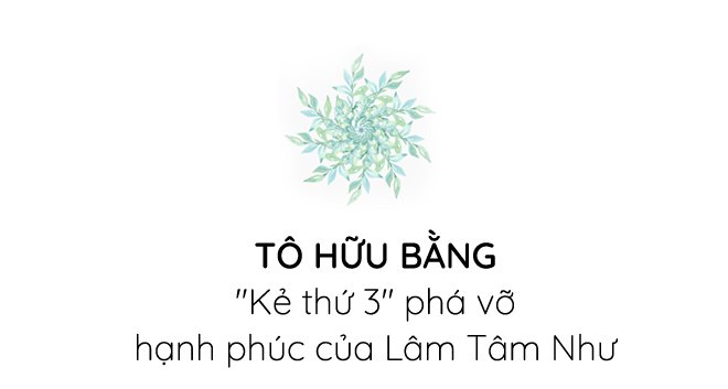 Tô Hữu Bằng: Từng là “kẻ thứ 3” phá vỡ tình yêu của Lâm Tâm Như - 1