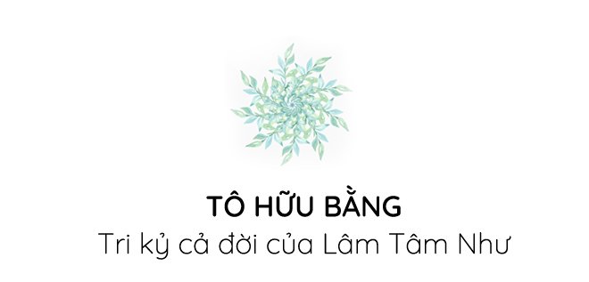 Tô Hữu Bằng: Từng là “kẻ thứ 3” phá vỡ tình yêu của Lâm Tâm Như - 5