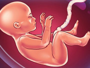 Bà bầu - 4 điều thai nhi cực thích, mẹ yêu con nhớ làm thường xuyên