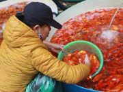 Tin tức - Nhiều người thả nhầm loại cá tiễn ông Công ông Táo, chuyên gia tư vấn cách làm chuẩn nhất