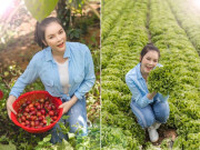 Clip Eva - Sở hữu resort triệu đô, Lý Nhã Kỳ vẫn lên nông trại rộng 50 hecta xắn tay áo làm nông