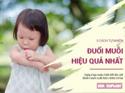 Sức khỏe - Mùa xuân ẩm ướt, muỗi trở lại: Đây là 5 cách đuổi muỗi tự nhiên hiệu quả nhất