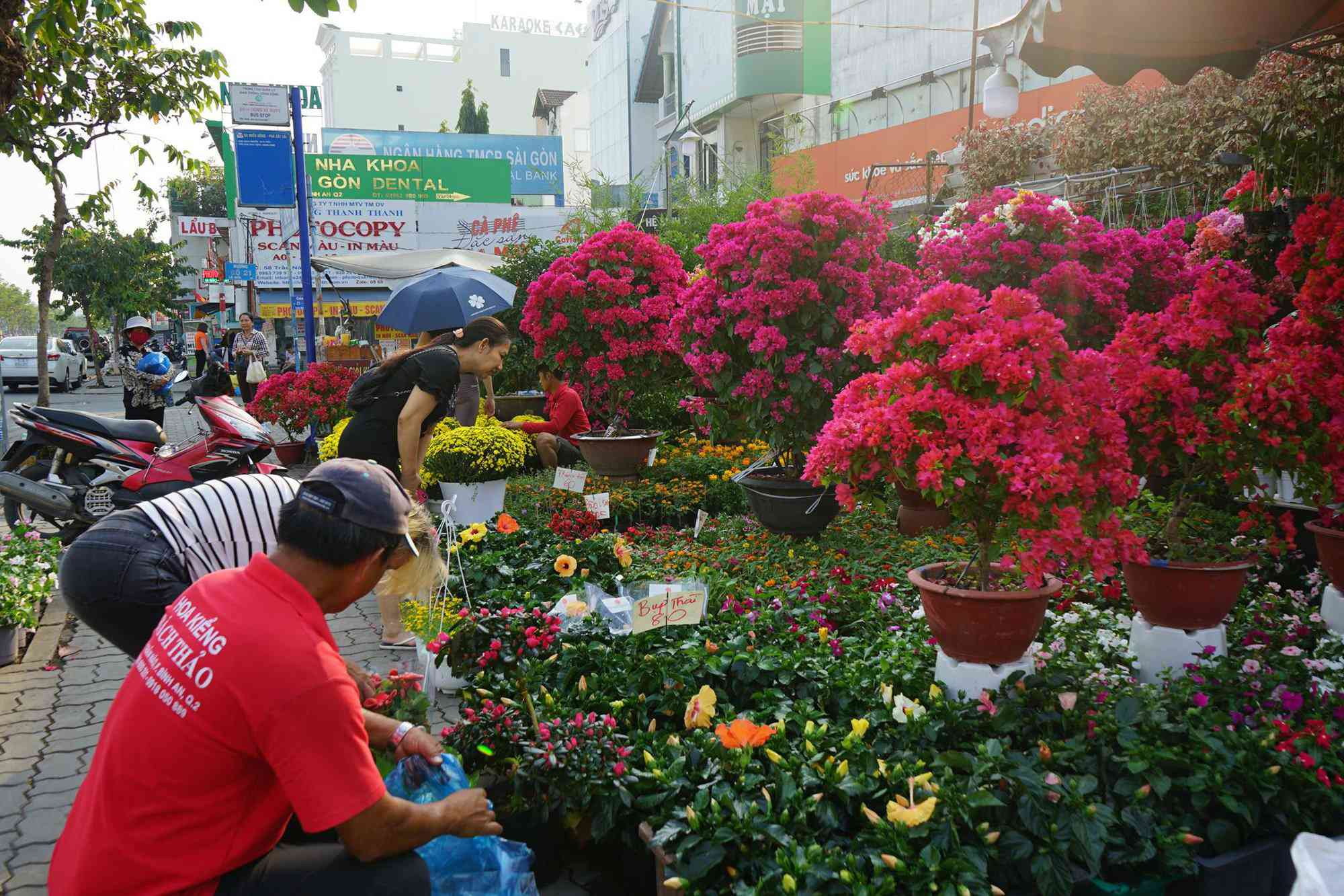 Những loại hoa Tết người Sài Gòn thường mua để mang lại tài lộc, may mắn cả năm - 6