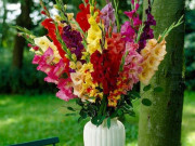 Nhà đẹp - Những loại hoa Tết đẹp và gợi ý cách cắm để đem đến tài lộc, phú quý cho gia đình