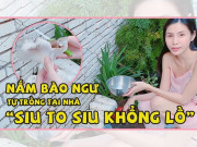 Clip Eva - Tự trồng nấm bào ngư, Thủy Tiên bị Công Vinh "cà khịa": Để cho người ta kiếm ăn với chứ!