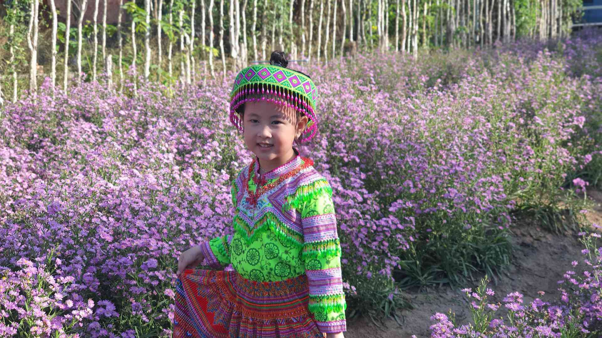 Không gian chụp ảnh tuyệt đẹp tại vườn hoa thạch thảo ở Tây Đô - 3