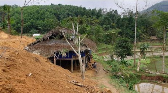 Cậu bé 10 tuổi sống cô độc trong rừng ở Tuyên Quang đón Tết thế nào? - 4