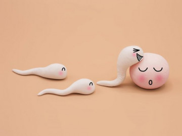 Đang muốn săn   bé chuột   năm 2020, chị em phải biết 6 dấu hiệu cơ thể báo đang rụng trứng