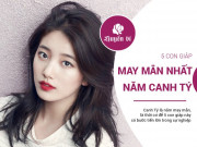 Eva tám - 5 con giáp được ban phước lành năm Canh Tý, sẽ thu được tài lộc không ngờ