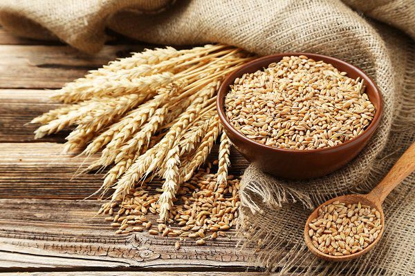 Sinh tố lúa mạch có tác dụng đối với sức khỏe và trong làm đẹp ? - 2