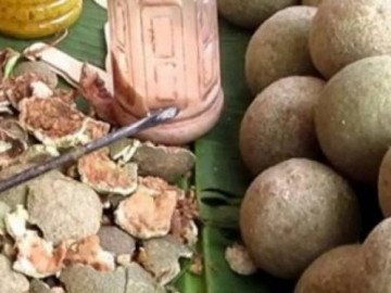 Loại quả bên ngoài như bị mốc, bên trong như bị hỏng, ai ngờ là đặc sản