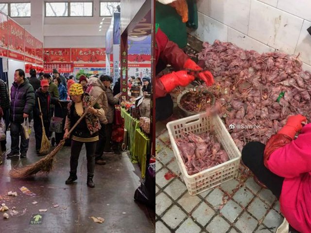 Những hình ảnh đáng sợ bên trong chợ hải sản Hoa Nam, nơi bùng phát dịch bệnh viêm phổi lạ