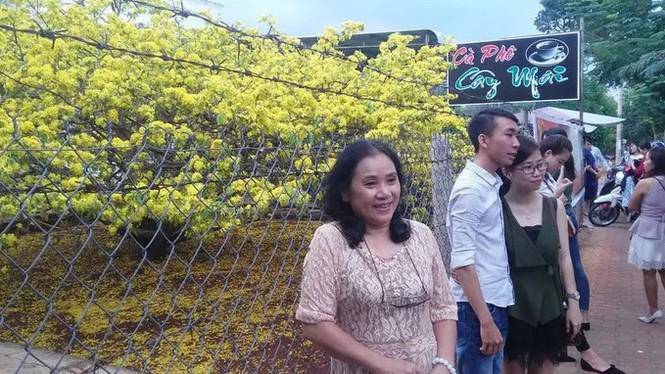 Khách nườm nượm đổ về Gia Ray đông như đi hội chỉ để xem 1 cây mai - 3