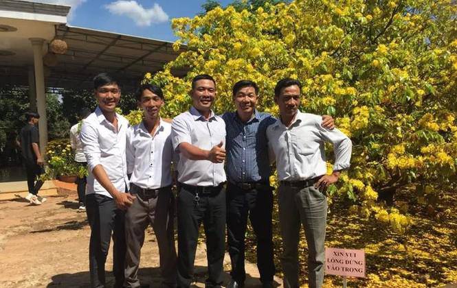 Khách nườm nượm đổ về Gia Ray đông như đi hội chỉ để xem 1 cây mai - 6