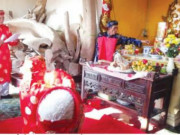 Xem ăn chơi - Độc đáo lễ hội Cầu Ngư và tục thờ cá voi ở làng biển Cảnh Dương