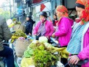 Ngon-bổ-rẻ - Thứ rau rừng tên lạ hoắc ùn ùn xuống phố hút khách ngày đầu năm