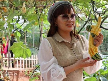 Lạc vào khu vườn diệu kỳ toàn bầu bí độc lạ của lão nông Đà Lạt