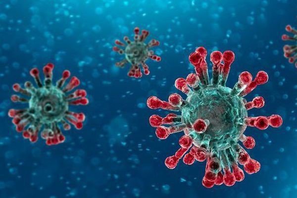 Phòng ngừa virus Corona theo khuyến cáo của WHO và bộ Y Tế - 1