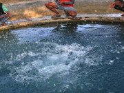 Xem ăn chơi - Hồ nước bí ẩn ở Ấn Độ, cứ vỗ tay là lại sôi sùng sục