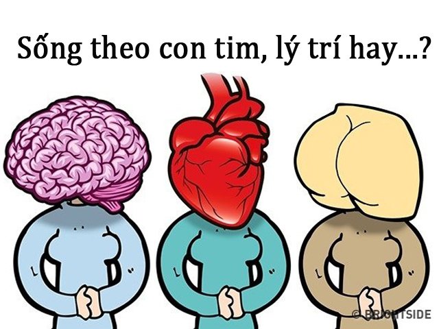 10 bức ảnh chứng minh thế giới chỉ chia làm 3 kiểu người, bạn thuộc kiểu nào? - 3