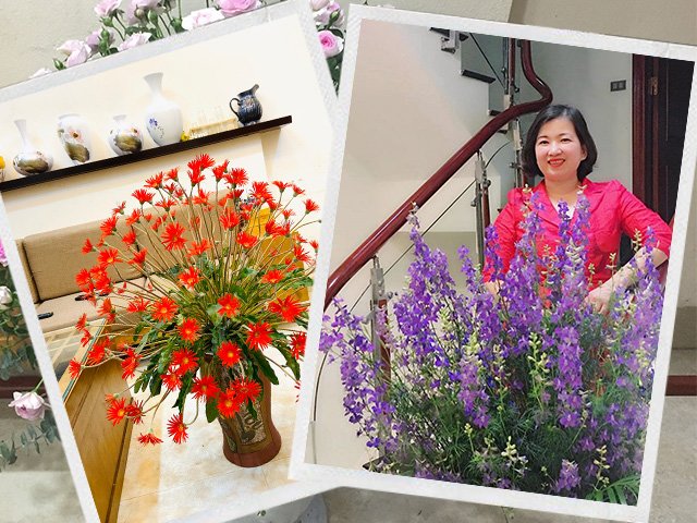 Sau Tết mẹ Hà Nội vẫn khiến ngôi nhà rực rỡ, tràn ngập sắc hoa chỉ với 200 nghìn/tuần