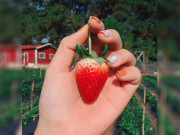 Eva tám - Trắc nghiệm Kokology: Khả năng ngoại tình của bạn cao hay thấp?