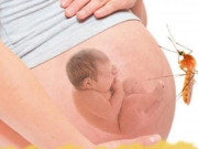 Bà bầu - Bà bầu bị sốt xuất huyết có nguy hiểm, gây dị tật thai nhi không?