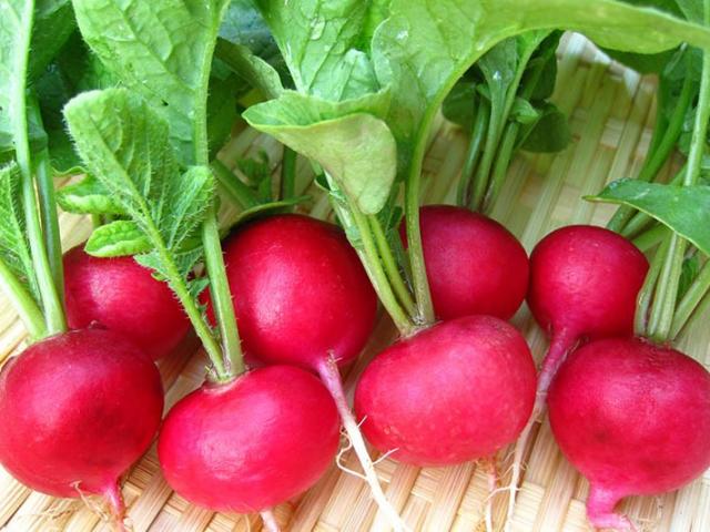 Tác dụng và tác hại của củ cải đỏ khi ăn cần lưu ý