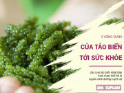 Sức khỏe - 5 công dụng tuyệt vời của tảo biển tới sức khỏe của bạn