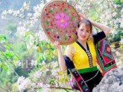 Xem ăn chơi - Mới tháng 2, hoa ban đã nở trắng tinh khôi núi rừng Tây Bắc