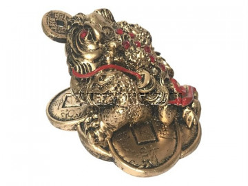 Cóc ngậm tiền hợp tuổi nào? Nên chọn cóc màu gì để mang lại may mắn?