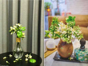 Nhà đẹp - Trời nồm ẩm, mẹ Hà Nội "ướp" nhà cửa bằng hương bưởi, ai ngắm cũng ngẩn ngơ