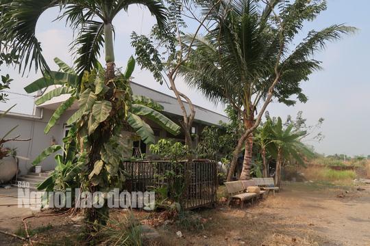 Tin tức 24h: Cận cảnh nhiều người đột nhập vào nhà hoang nơi Tuấn khỉ từng ẩn náu - 11