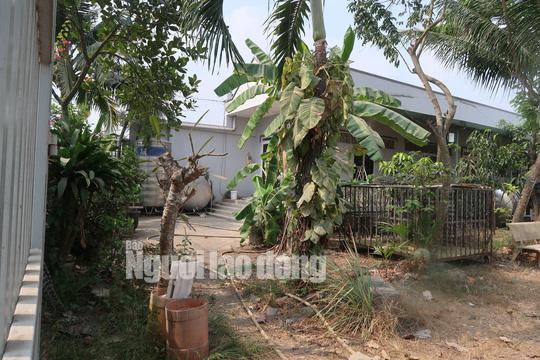 Tin tức 24h: Cận cảnh nhiều người đột nhập vào nhà hoang nơi Tuấn khỉ từng ẩn náu - 12